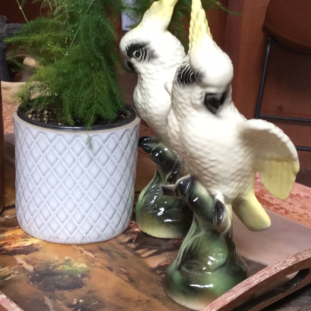 Vintage decor birds farmer’s market garden sunroom spa botanical shabby chic - Picture 2 of 14